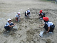 pict-IMG_8552
