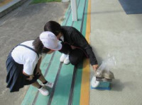 pict-IMG_8555