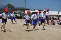 pict-IMG_9716
