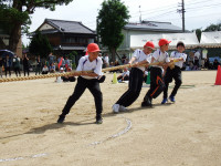 DSCF7175