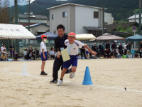 DSCF7254