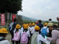 pict-IMG_8187