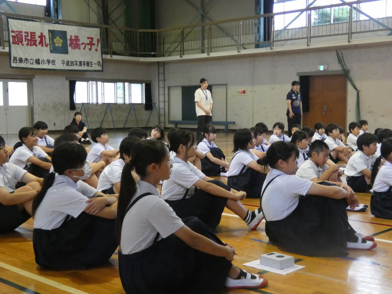 5